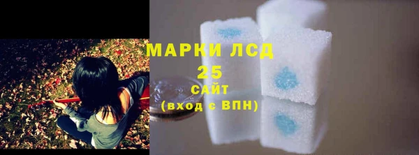 ALPHA PVP Гусев