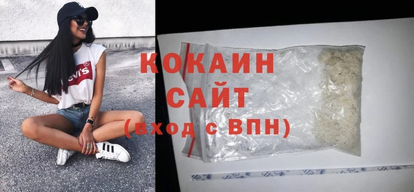 ALPHA PVP Гусев