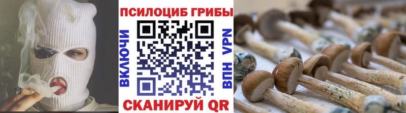 ОМГ ОМГ tor  Гусь-Хрустальный  Галлюциногенные грибы мухоморы  хочу  
