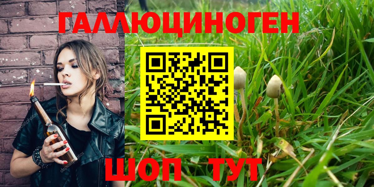 Псилоцибиновые грибы прущие грибы  Вход с VPN  Псилоцибиновые грибы Psilocybine cubensis  Гусь-Хрустальный 